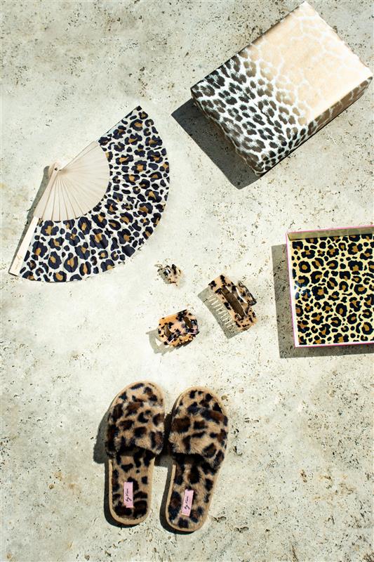 Fächer Leopard – Bild 5